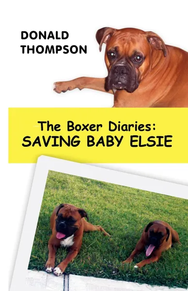 Обложка книги The Boxer Diaries. Saving Baby Elsie, Donald Thompson, Rev Donald Thompson