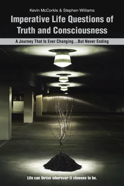 Обложка книги Imperative Life Questions of Truth and Consciousness. A Journey That Is Ever Changing...But Never Ending, Kevin McCorkle, Stephen Williams