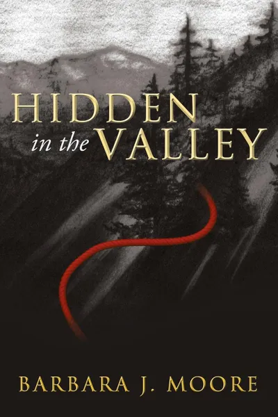 Обложка книги Hidden in the Valley, Barbara J. Moore