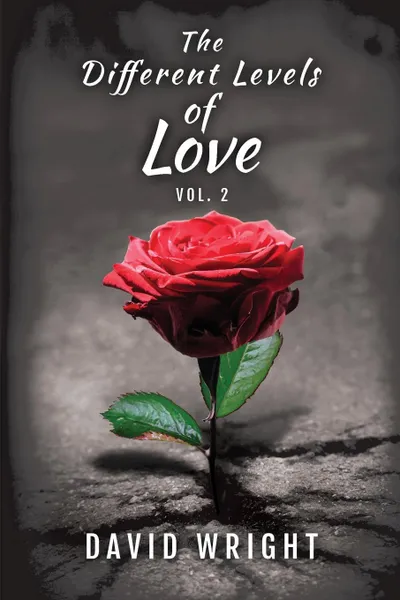 Обложка книги The Different Levels of Love, Volume 2, David Wright