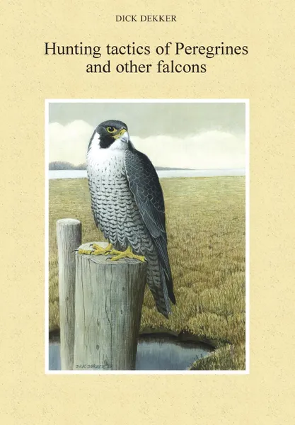 Обложка книги Hunting Tactics of Peregrines and other Falcons, Dick Dekker