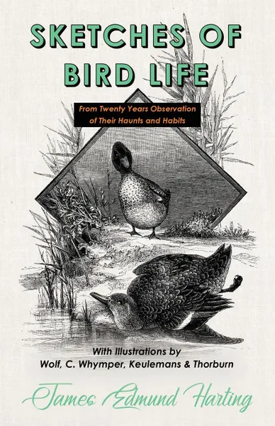 Обложка книги Sketches of Bird Life - From Twenty Years Observation of Their Haunts and Habits - With Illustrations by Wolf, C. Whymper, Keulemans, and Thorburn, James Edmund Harting