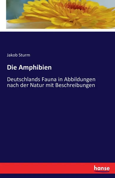 Обложка книги Die Amphibien, Jakob Sturm