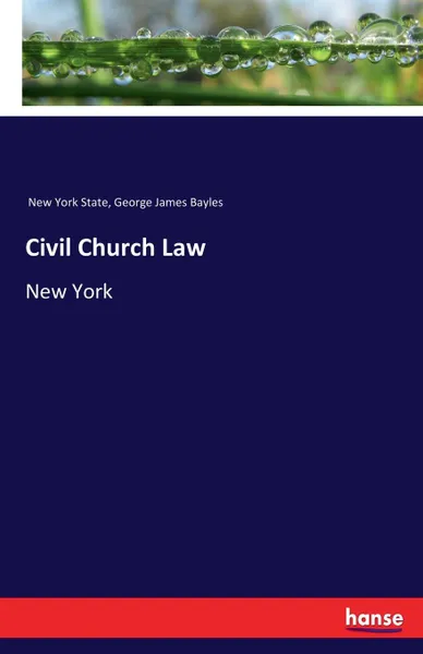 Обложка книги Civil Church Law, New York State, George James Bayles