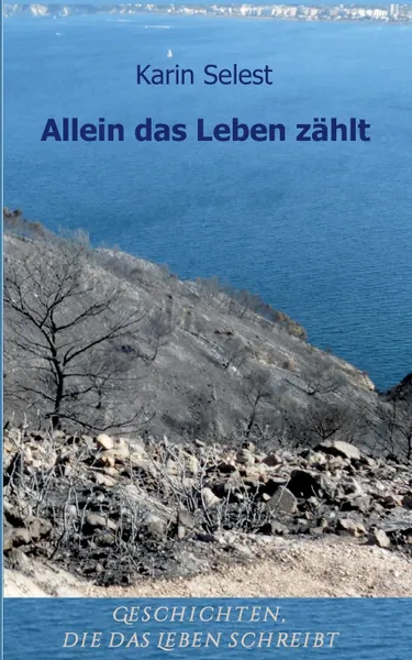 Обложка книги Allein das Leben zahlt, Karin Selest