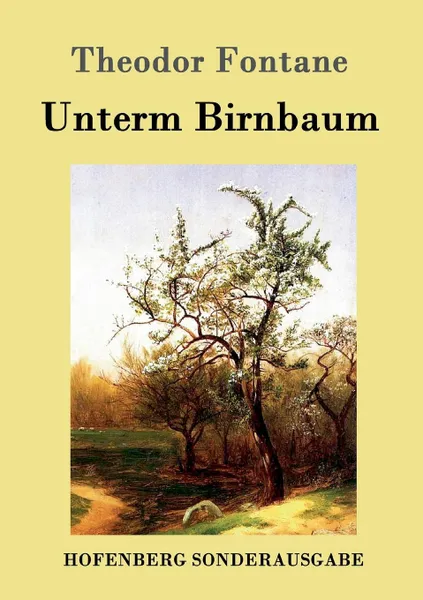 Обложка книги Unterm Birnbaum, Theodor Fontane