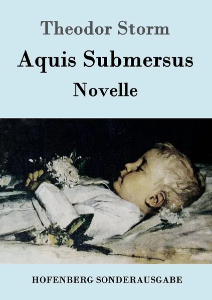 Обложка книги Aquis Submersus, Theodor Storm