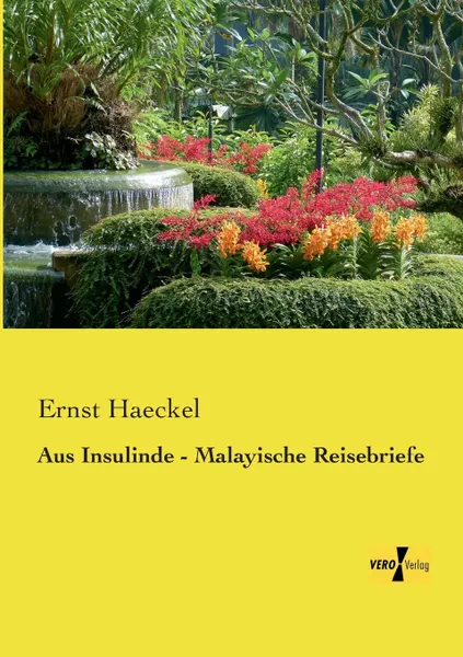 Обложка книги Aus Insulinde - Malayische Reisebriefe, Ernst Haeckel