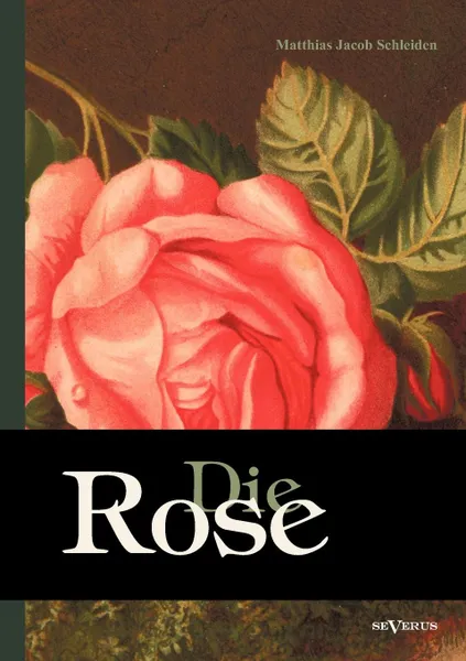 Обложка книги Die Rose. Geschichte und Symbolik in ethnographischer und kulturhistorischer Beziehung, Matthias Jacob Schleiden