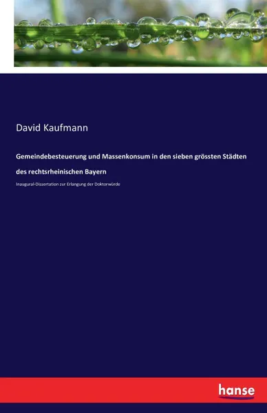 Обложка книги Gemeindebesteuerung und Massenkonsum in den sieben grossten Stadten des rechtsrheinischen Bayern, David Kaufmann