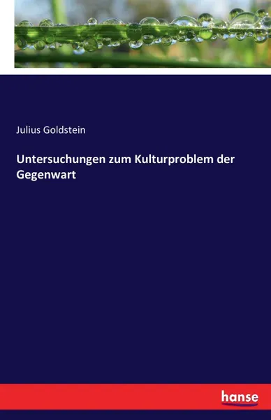 Обложка книги Untersuchungen zum Kulturproblem der Gegenwart, Julius Goldstein