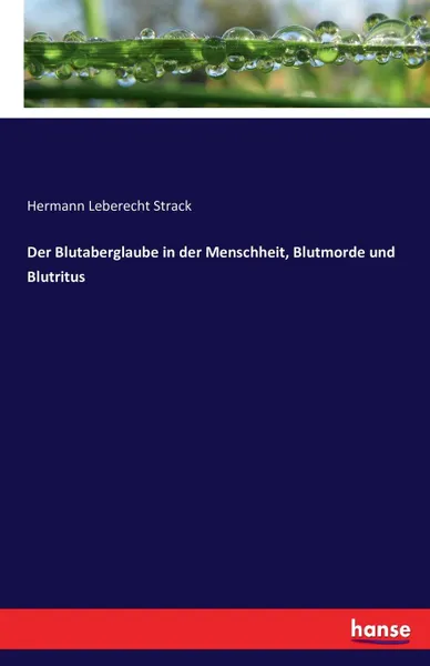 Обложка книги Der Blutaberglaube in der Menschheit, Blutmorde und Blutritus, Hermann Leberecht Strack