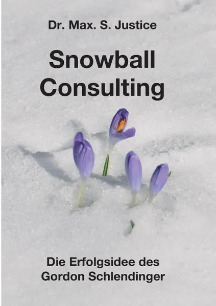 Обложка книги Snowball Consulting, Dr. Max. S. Justice