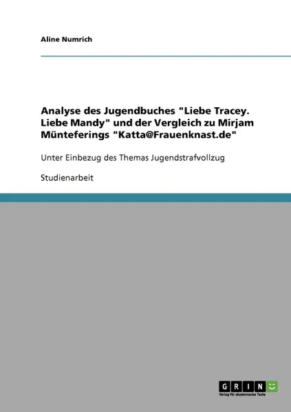 Обложка книги Analyse des Jugendbuches 