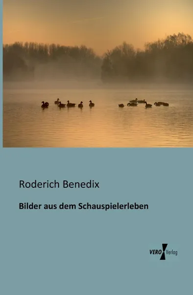 Обложка книги Bilder Aus Dem Schauspielerleben, Roderich Benedix