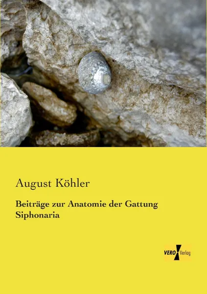 Обложка книги Beitrage zur Anatomie der Gattung Siphonaria, August Köhler