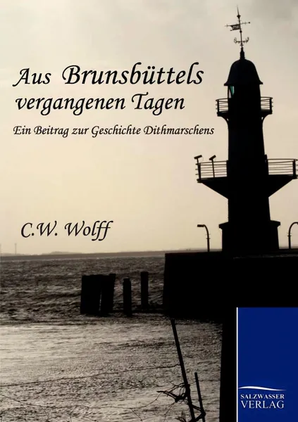 Обложка книги Aus Brunsbuttels vergangenen Tagen, C. W. Wolff