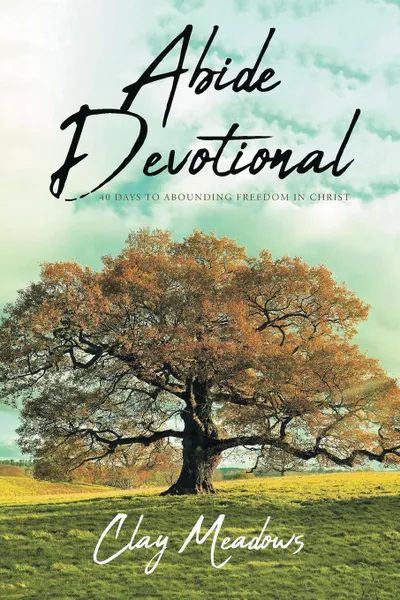 Обложка книги Abide Devotional. 40 Days to Abounding Freedom in Christ, Clay Meadows