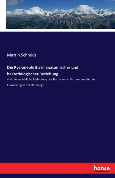 Обложка книги Die Pyelonephritis in anatomischer und bakteriologischer Beziehung, Martin Schmidt