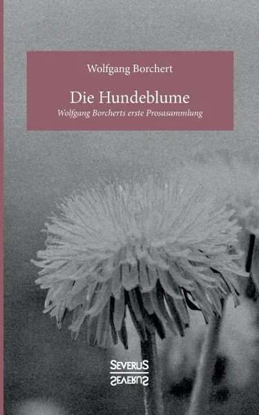 Обложка книги Die Hundeblume, Wolfgang Borchert