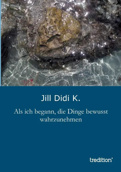 Обложка книги ALS Ich Begann, Die Dinge Bewusst Wahrzunehmen, Jill Didi K