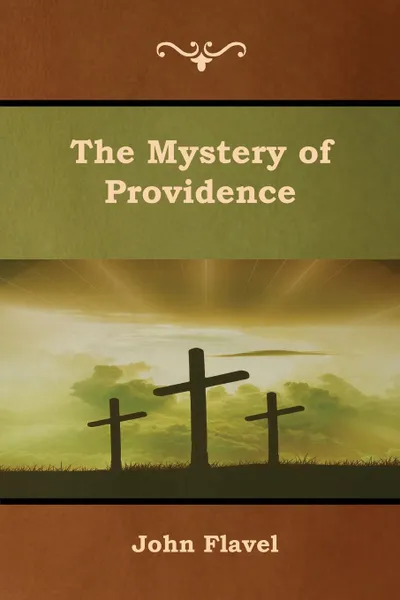 Обложка книги The Mystery of Providence, John Flavel