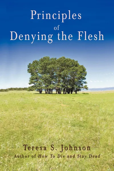 Обложка книги Principles of Denying the Flesh, Teresa S. Johnson