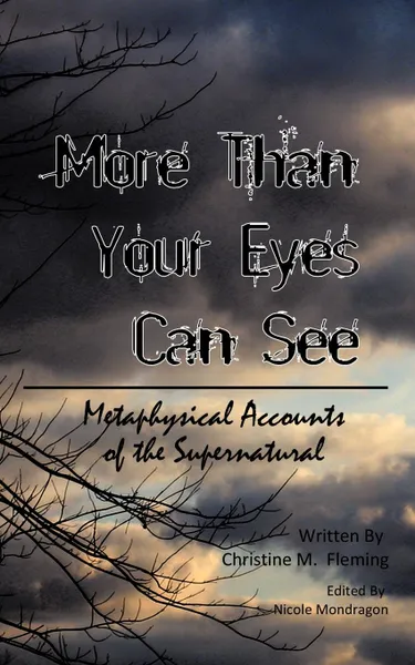 Обложка книги More Than Your Eyes Can See. Metaphysical Accounts of the Supernatural, Christine M. Fleming