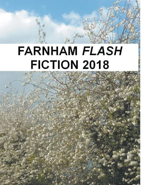 Обложка книги Farnham Flash Fiction 2018, Sally Dickson