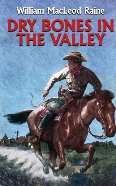 Обложка книги Dry Bones in the Valley, William MacLeod Raine