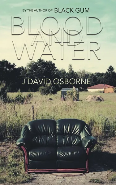 Обложка книги Blood and Water, J David Osborne