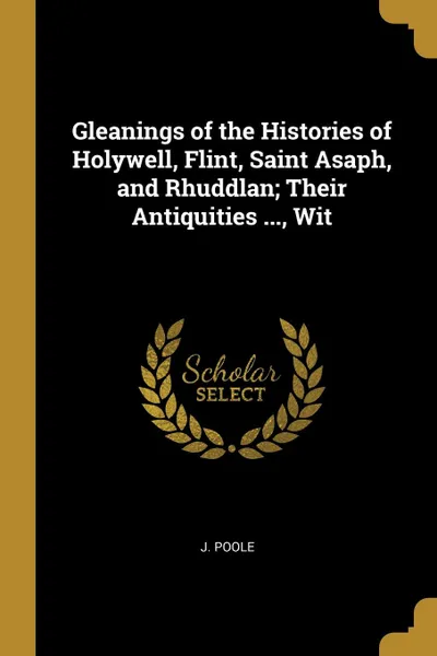 Обложка книги Gleanings of the Histories of Holywell, Flint, Saint Asaph, and Rhuddlan; Their Antiquities ..., Wit, J. Poole