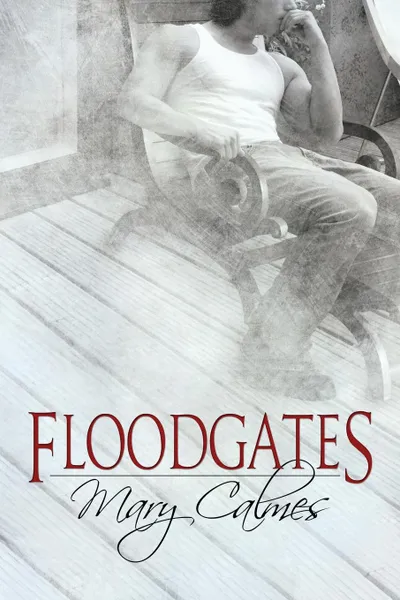 Обложка книги Floodgates, Mary Calmes