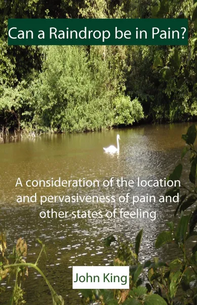 Обложка книги Can a Raindrop be in Pain.. A consideration of the location . pervasiveness of pain and other states of feeling, John King