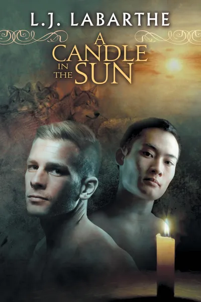 Обложка книги A Candle in the Sun, L.J. LaBarthe