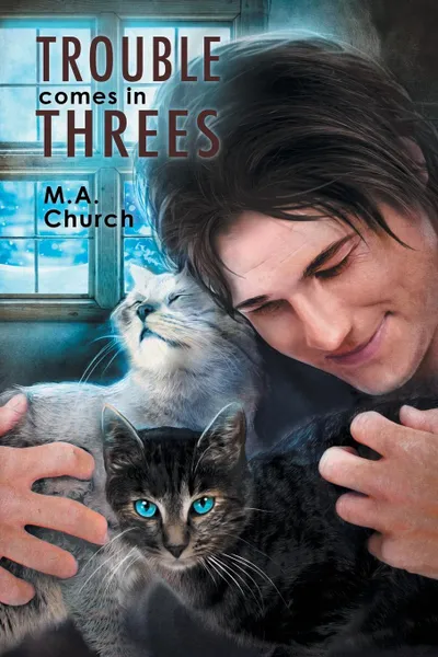 Обложка книги Trouble Comes in Threes, M.A. Church