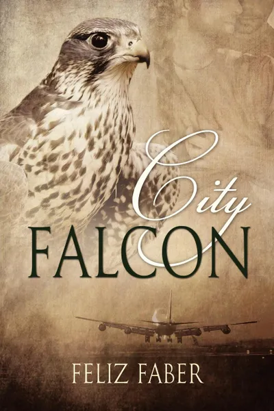 Обложка книги City Falcon, Feliz Faber