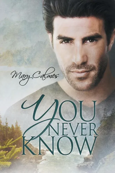 Обложка книги You Never Know, Mary Calmes