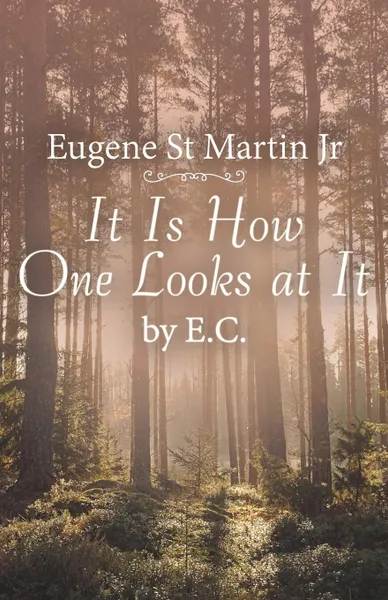 Обложка книги It Is How One Looks at It by E. C., Eugene St Martin Jr