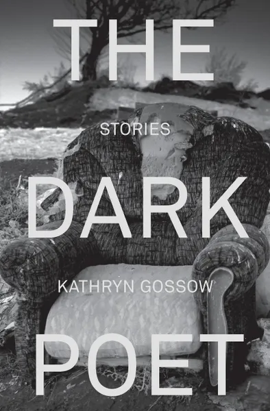 Обложка книги The Dark Poet, Kathryn Gossow