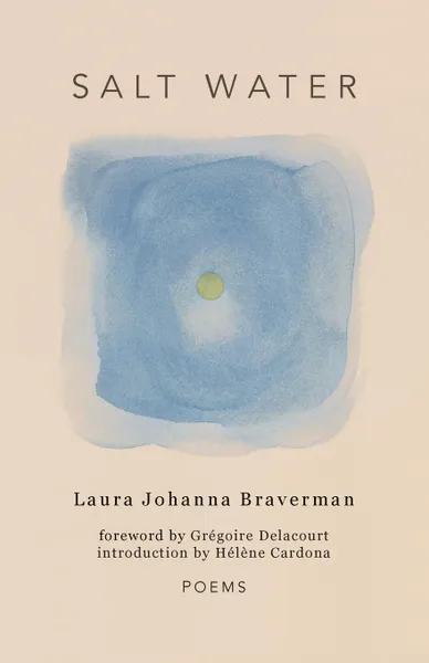 Обложка книги Salt Water, Laura Johanna Braverman