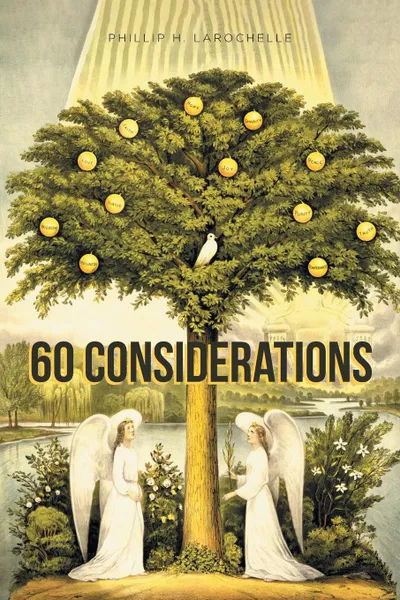 Обложка книги 60 Considerations, Phillip H. LaRochelle