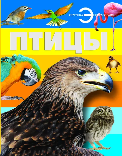 Обложка книги Птицы, Спектор А.А.