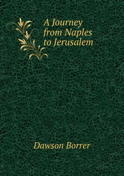 Обложка книги A Journey from Naples to Jerusalem, Dawson Borrer