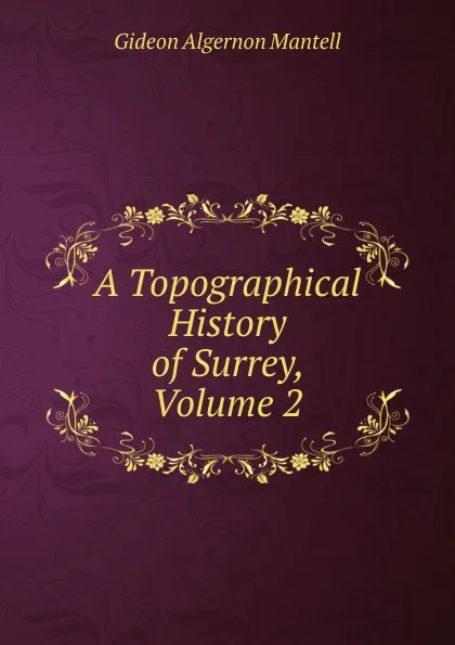 Обложка книги A Topographical History of Surrey, Volume 2, Gideon Algernon Mantell