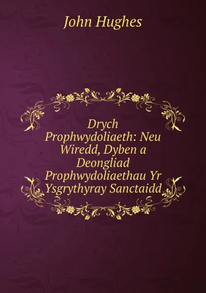 Обложка книги Drych Prophwydoliaeth: Neu Wiredd, Dyben a Deongliad Prophwydoliaethau Yr Ysgrythyray Sanctaidd, John Hughes