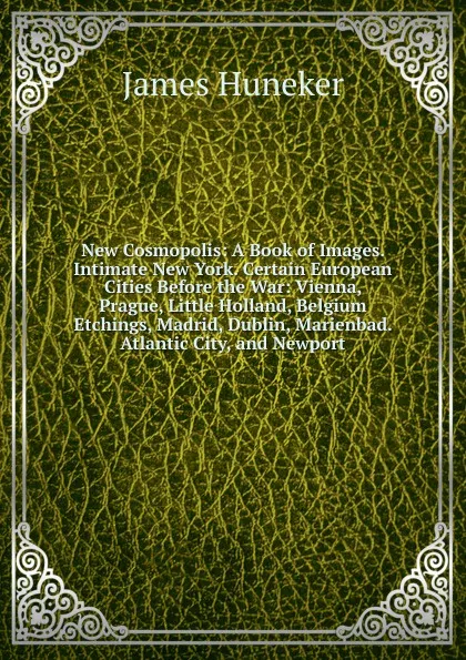 Обложка книги New Cosmopolis: A Book of Images. Intimate New York. Certain European Cities Before the War: Vienna, Prague, Little Holland, Belgium Etchings, Madrid, Dublin, Marienbad. Atlantic City, and Newport, Huneker James