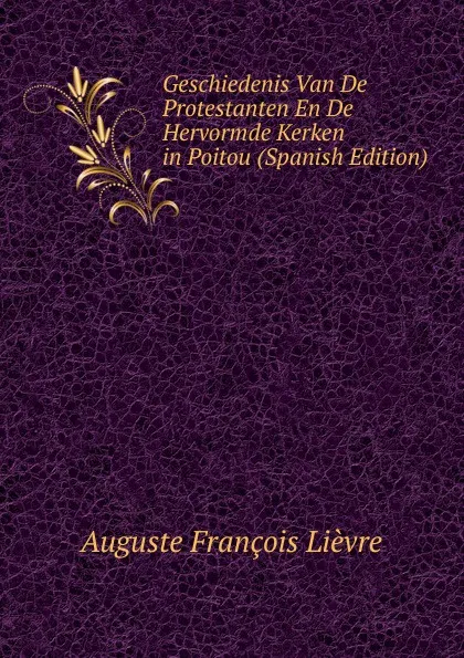 Обложка книги Geschiedenis Van De Protestanten En De Hervormde Kerken in Poitou (Spanish Edition), Auguste François Lièvre