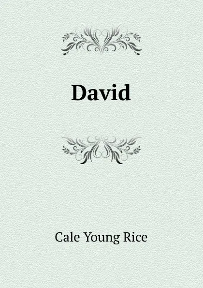 Обложка книги David, Cale Young Rice