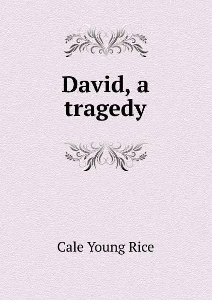 Обложка книги David, a tragedy, Cale Young Rice